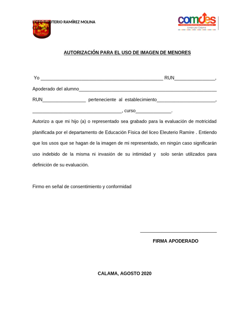 autorizacion apoderado | PDF