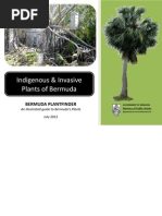 Plant Finder Indigenous &amp; Invasive Plants