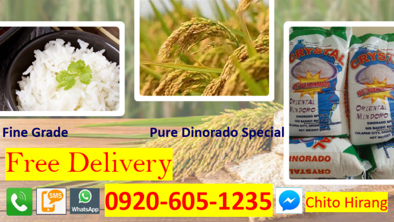 Crystal Rice Dinorado | PDF