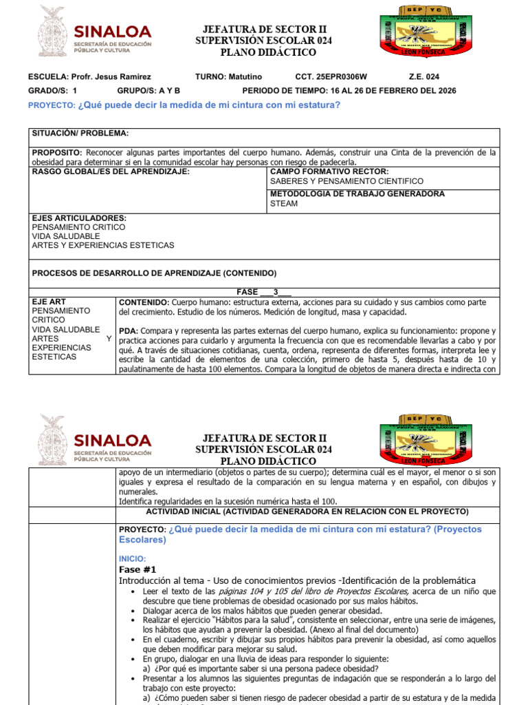 PROYECTO AZUL | PDF