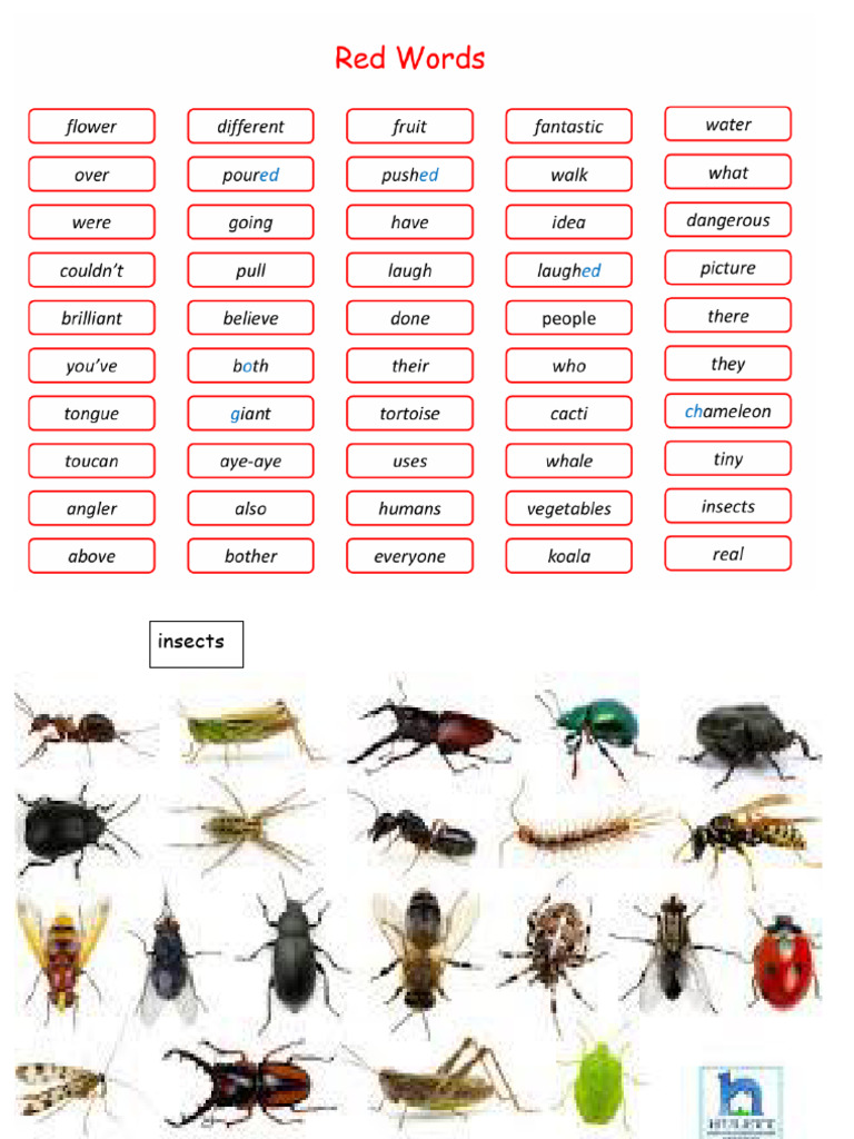 Red Words | PDF