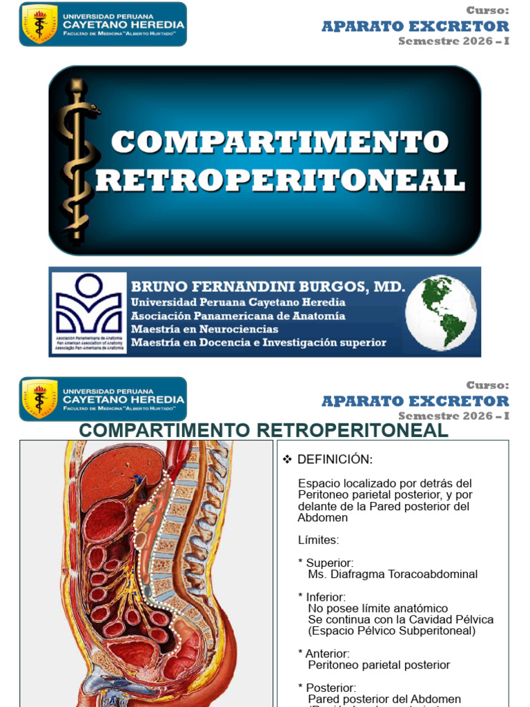 Upch Mh 2026 - i Ae Clase 1 Compartimento Retroperitoneal (Dr. Bruno ...