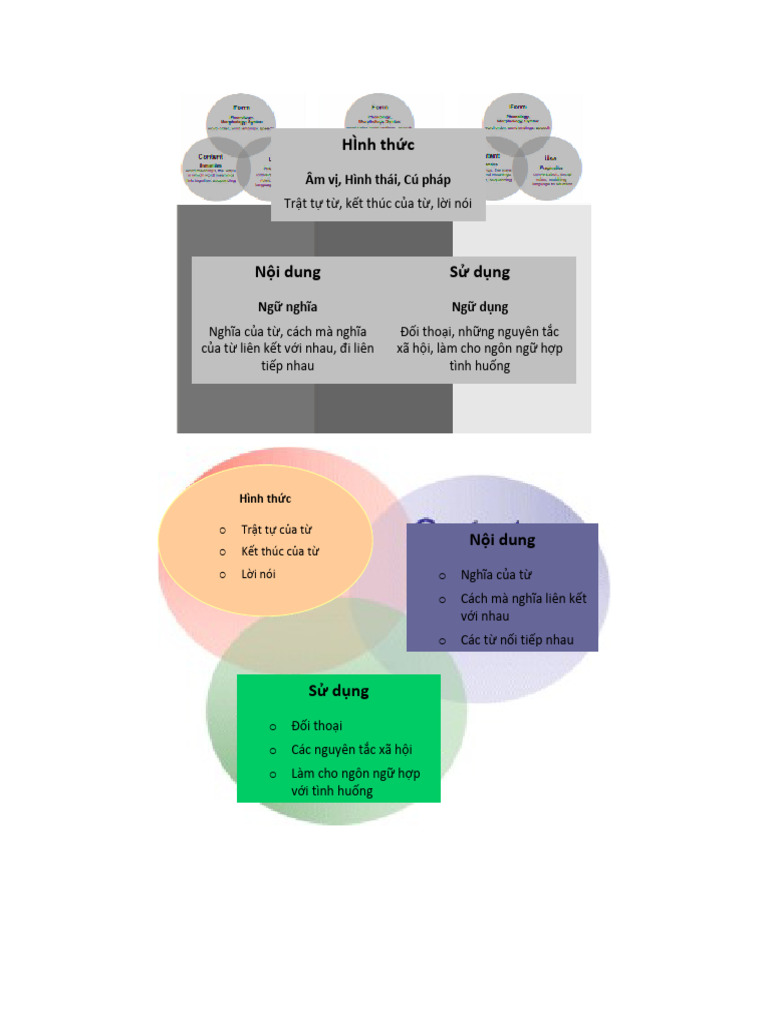 Form Content Use_VN | PDF