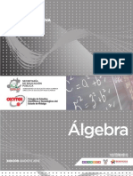 Algebra GUIAS FORMATIVAS B/P Agosto 2012