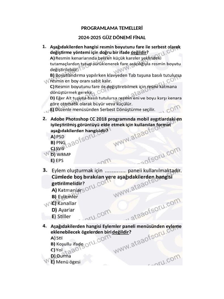 Programlama Temelleri 2024-2025 Güz Dönemi Final | PDF