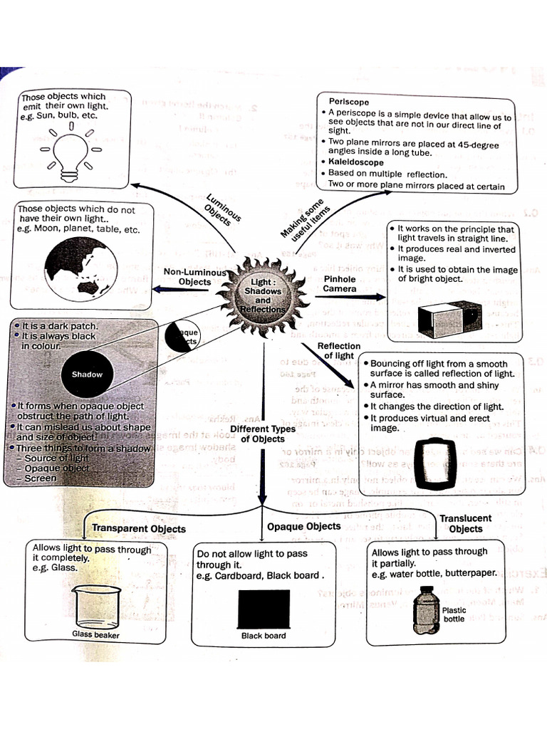 Science Work Class 7 | PDF