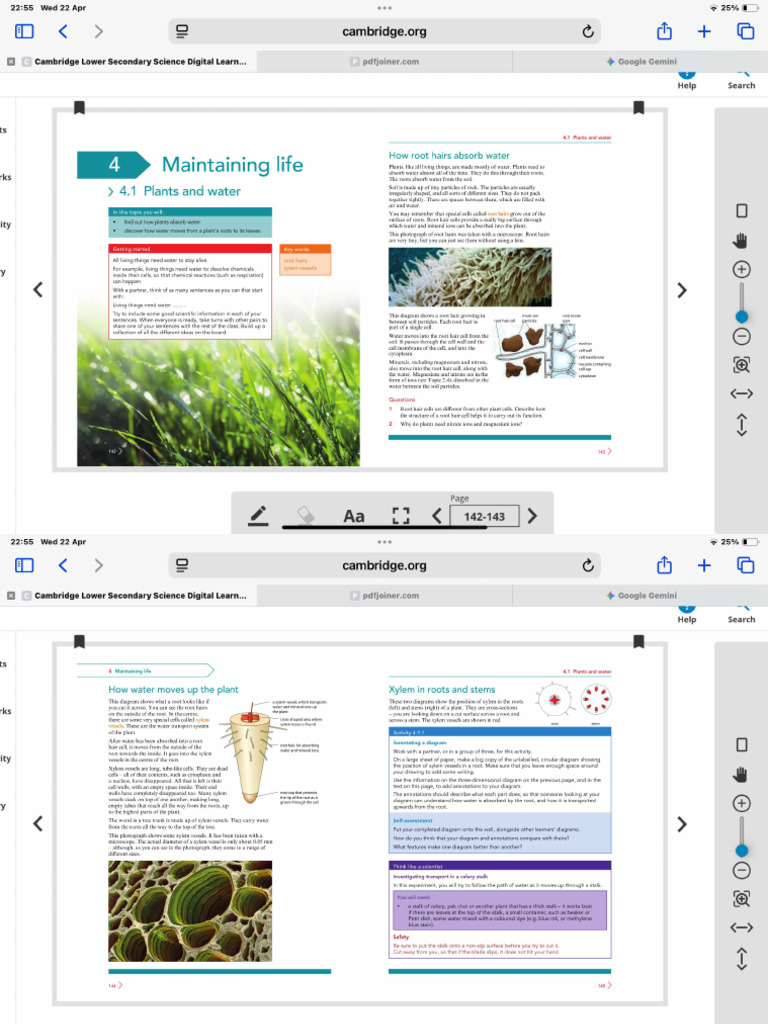 Science Chapter 4 | PDF