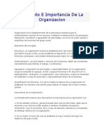 Concepto E Importancia de La Organizacion