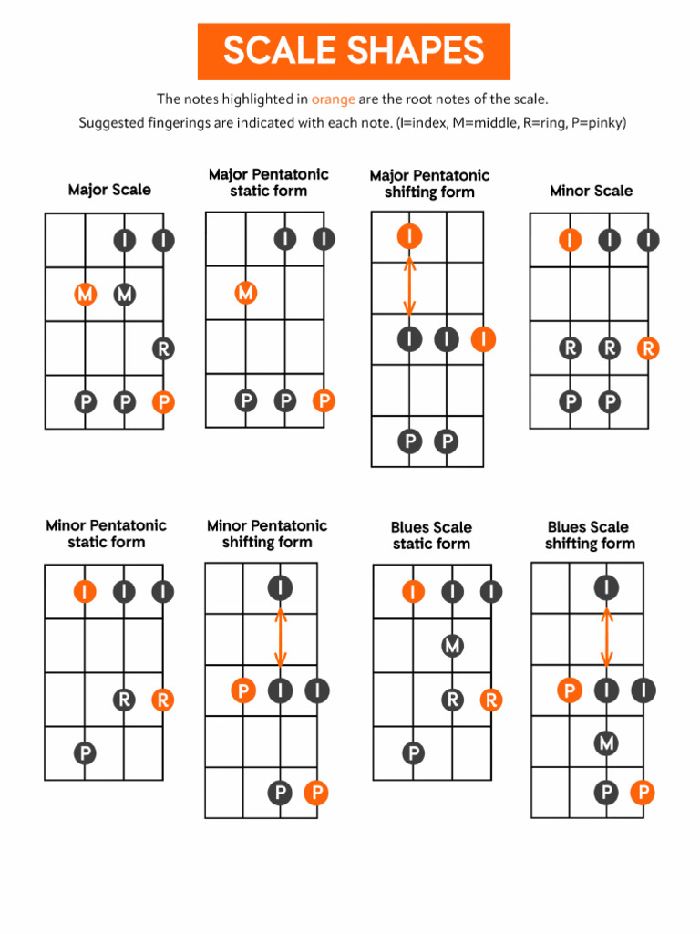 BassBuzz 5 Scales Collected Forms | PDF
