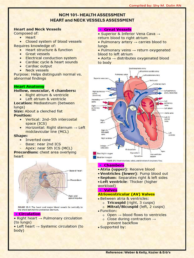 9. Heart and Neck Vessels 1 | PDF | Heart Valve | Heart