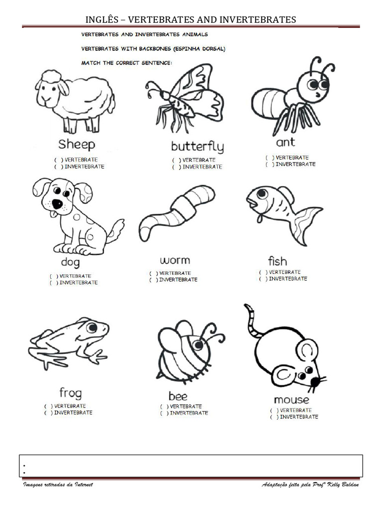 Vertebrates and Invertebrates | PDF