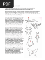 Insect Collection Labeling Guide | PDF | Insects | Arthropods