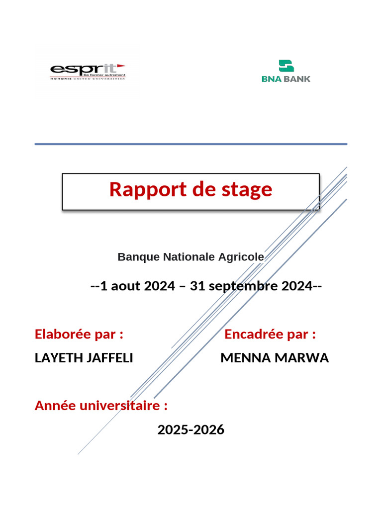 Rapport de Stage Layth | PDF | Entrepôt de données | Sécurité des ...