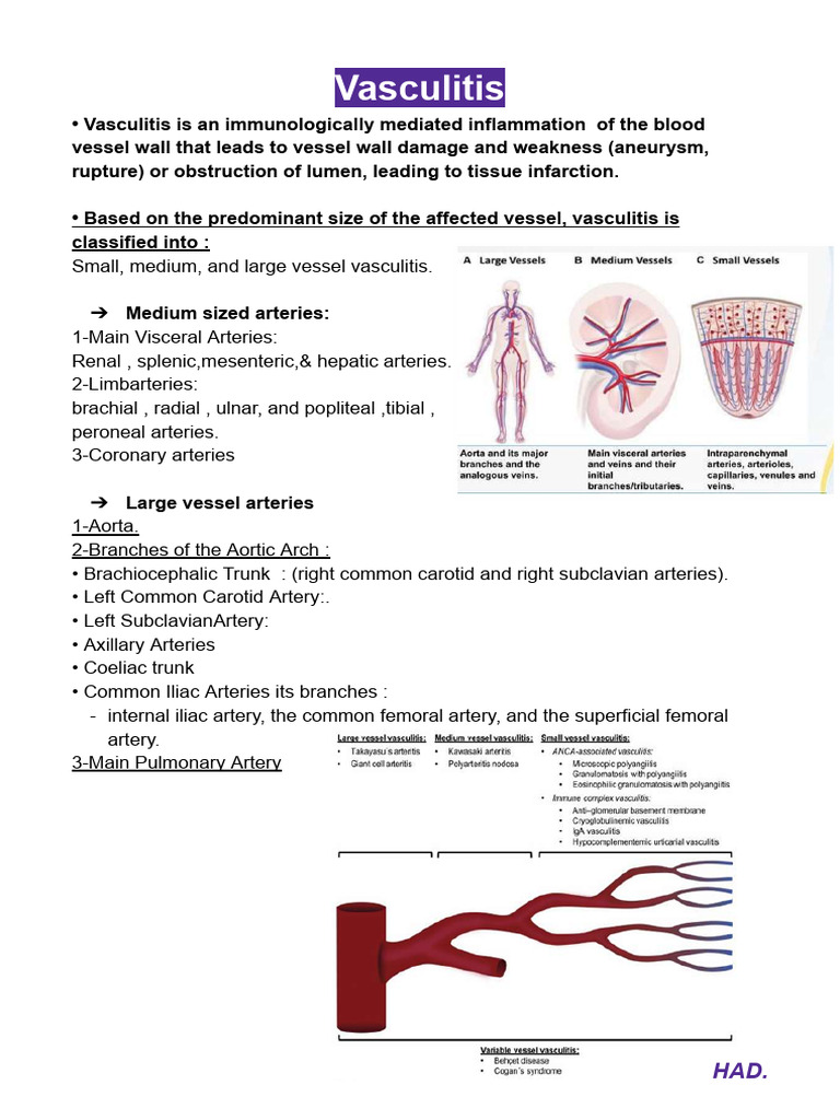 7- Rheumatology - Vasculitis (LVV, PMR & PAN) | PDF | Ischemia ...