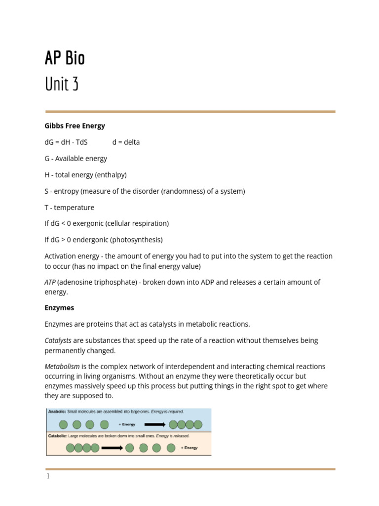 Aidan Conway - AP Bio Unit 3 Notes | PDF | Cellular Respiration | Enzyme