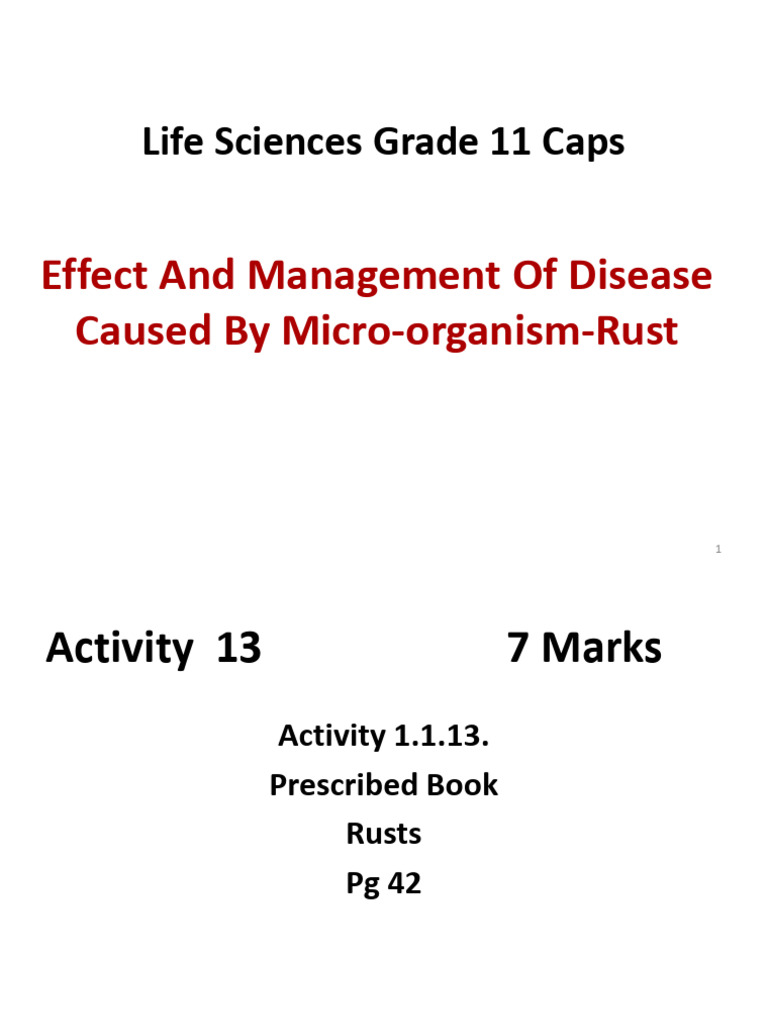 6. Rust | PDF