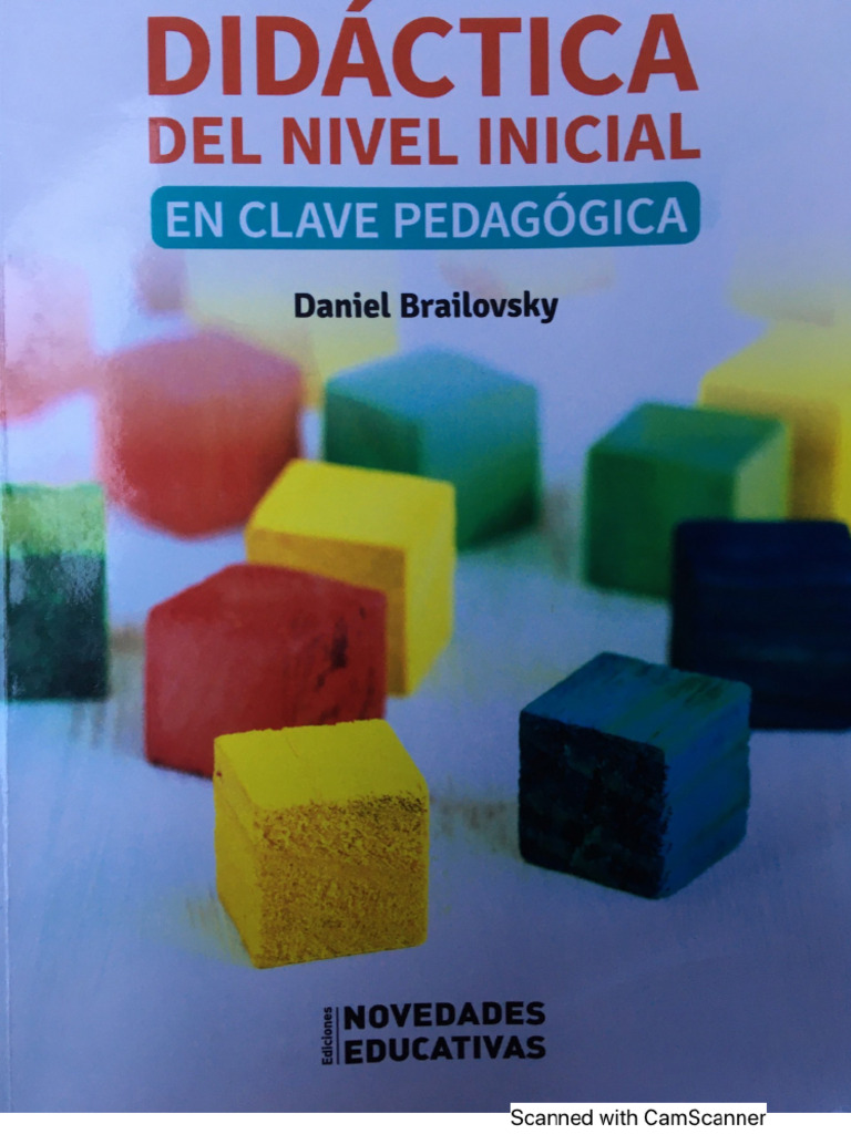 Brailovsky-Didactica Del Nivel Inicial | PDF