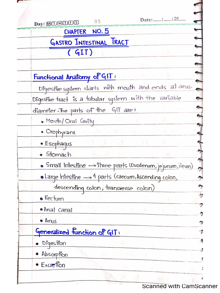 GIT Notes Hand Written | PDF
