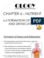 Biology: Chapter 6: Nutrient