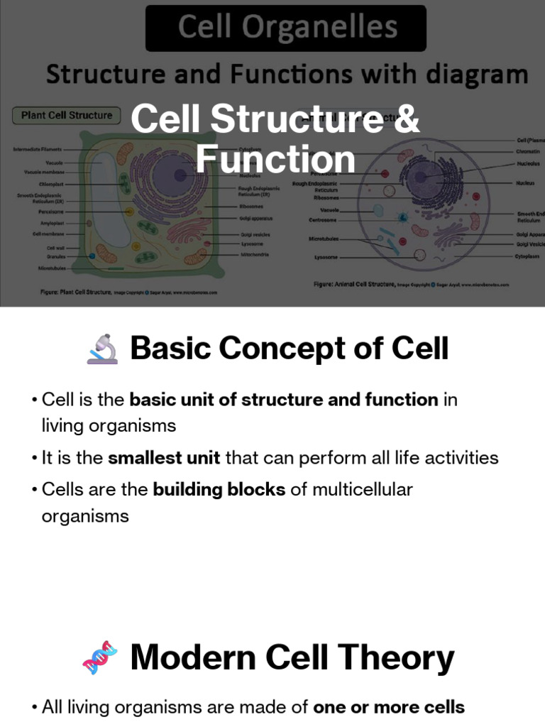 Cell Structure & Function | PDF | Staining | Cell (Biology)