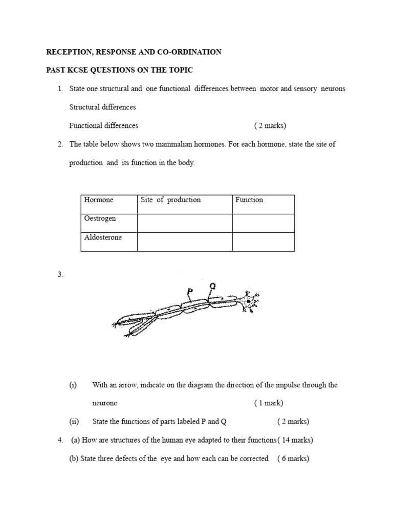 FORM 4 RECEPTION RESPONSE AND CO ORDINATION QUESTIONS Teacher - Co ...