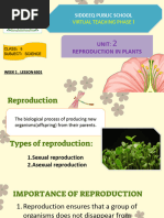 Flowering Plant Reproduction Diagrams | PDF