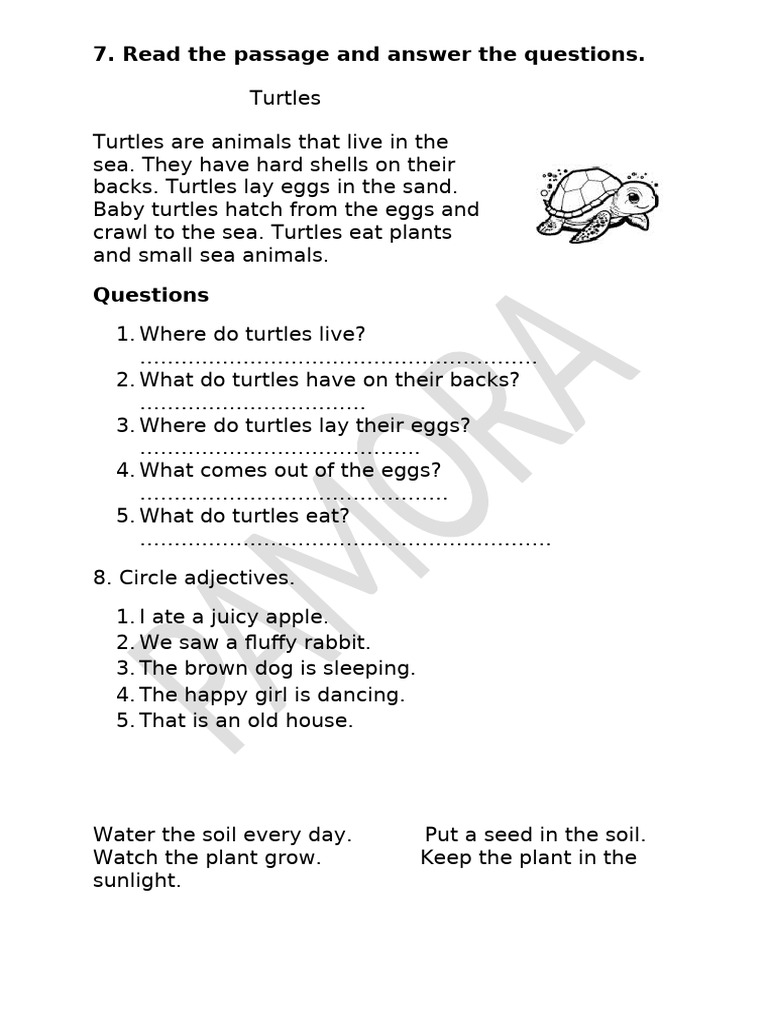 Turtles | PDF