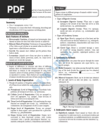 Class 11 Animal Kingdom Overview | PDF | Sponge | Biology
