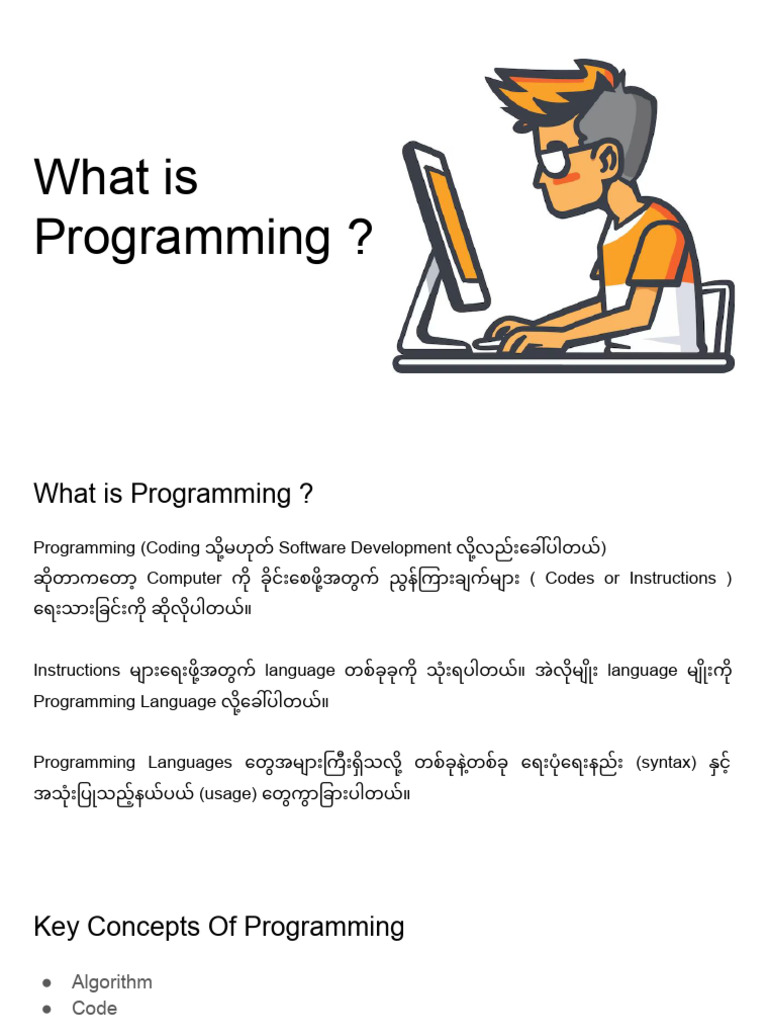What is Programming | PDF