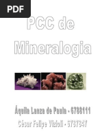 Pcc de mineralogia