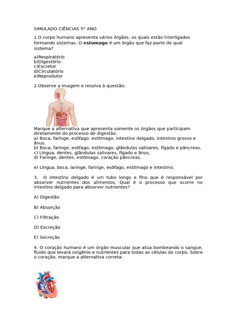 Simulado de Ciências 5° Ano - Maio - 2025 | PDF | Corpo humano | Rim