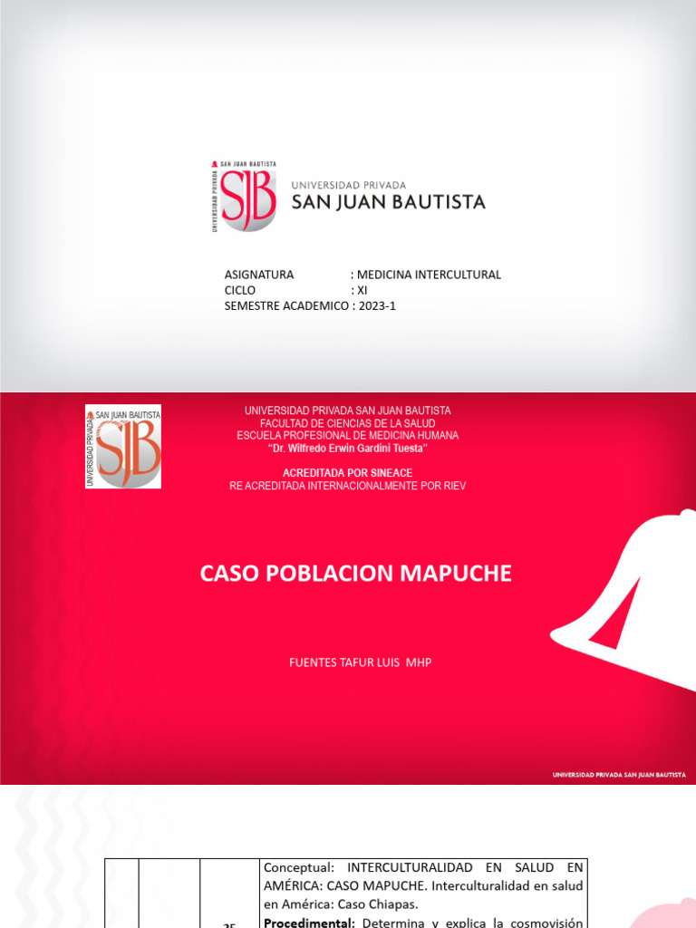 Sesión: Población MAPUCHE | PDF | Chile