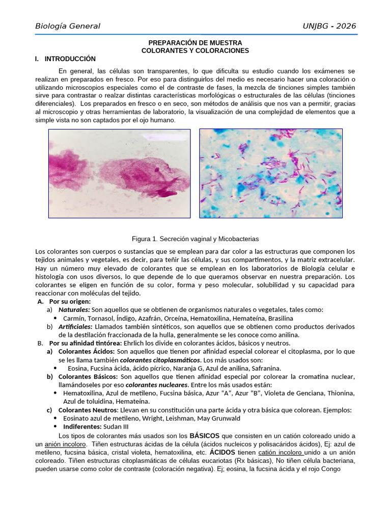 P3 Preparado de Muestras. Colorantes y Coloraciones | PDF | Tinción ...