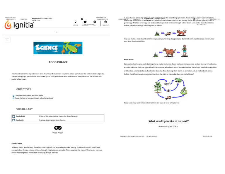 Ignitia | PDF | Foods | Food Web