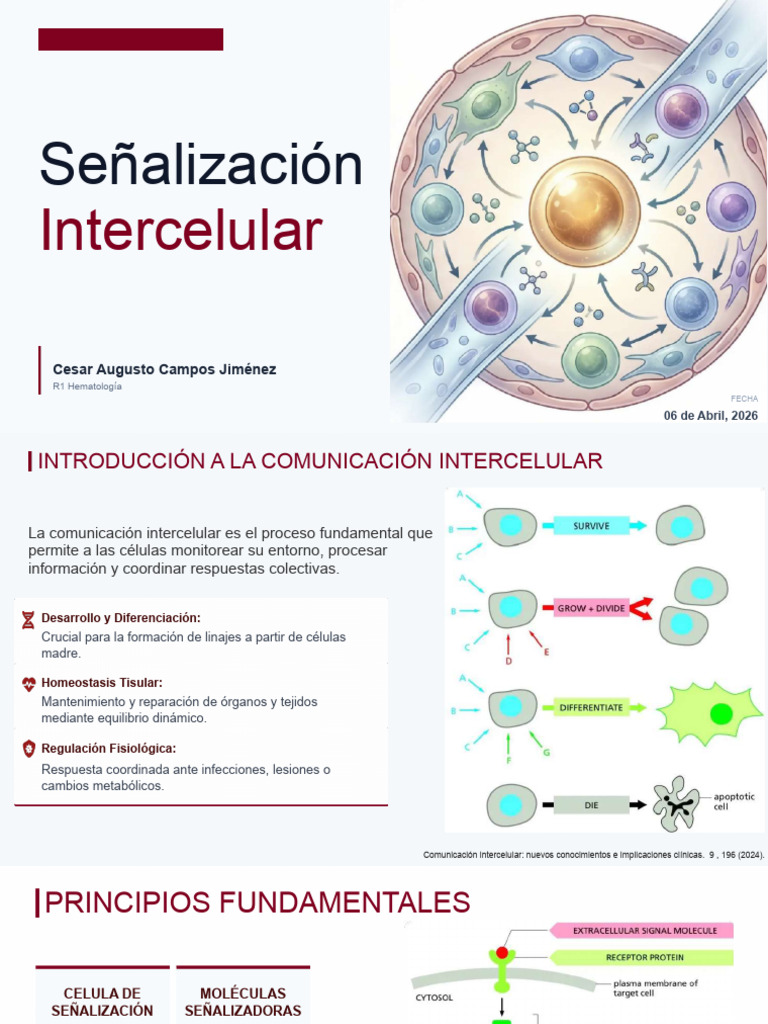 SEÑALIZACIÓN INTERCELULAR | PDF | Transducción de señales | Receptor ...