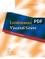 Manual LV Grave NC