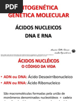 CITOGENÉTICA - ÁCIDOS NUCLEICOS