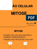 MITOSE