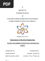 Summer Training Report at Atomic Power Station, Rawatbhata