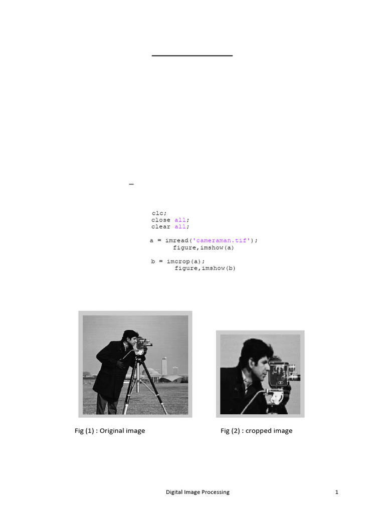 Image Processing Manual | PDF | Computer Graphics | Imaging