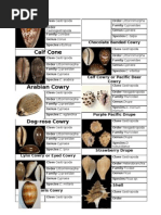 Download Mollusca Worksheet Part 2 by Mi Rivera SN103968917 doc pdf