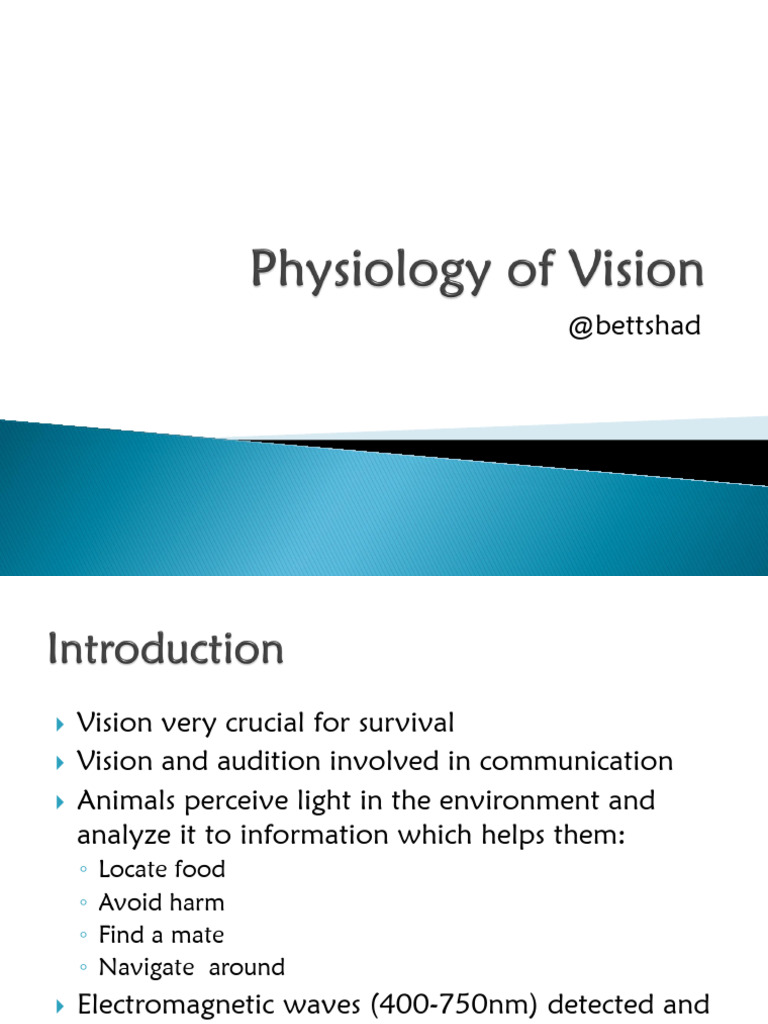 15.Physiology of Vision | PDF | Retina | Visual System
