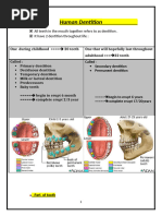 Dental Anatomy and Types of Teeth | PDF | Dental Anatomy | Tooth