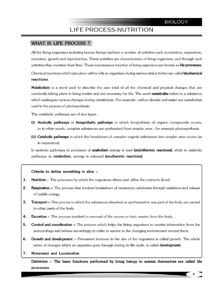 Life processes | PDF