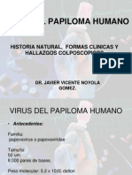 Virus Del Papiloma Humano Formas Clinicas