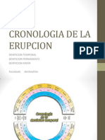 Cronologia de La Erupcion