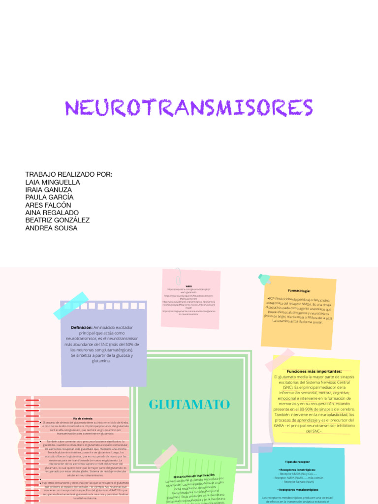 Neuro Transm I Sores | PDF