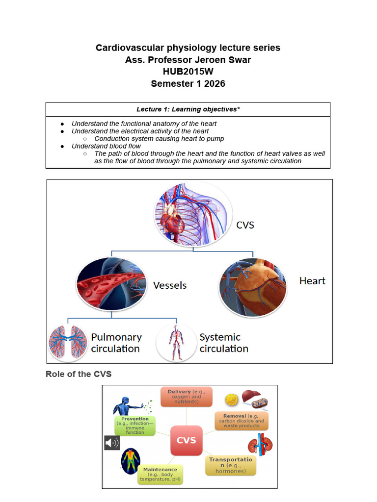 Cardiovascular Physiology Lecture Series (1) | PDF | Coronary ...