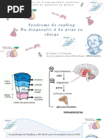 Comprendre l'hypercorticisme | PDF | Cortisol | Système endocrinien