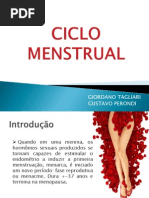 Ciclo Menstrual